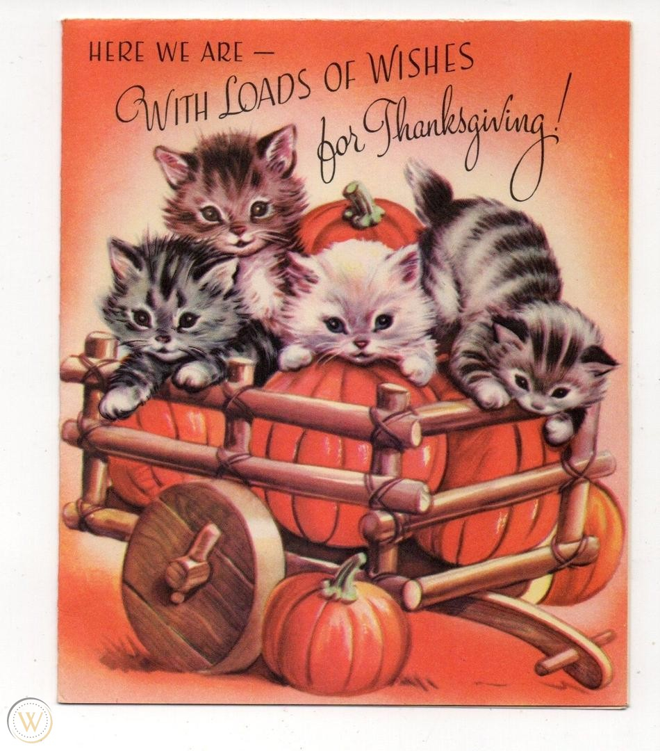 33 Thanksgiving Cats Ideas | Cats, Cats And Kittens, Thanksgiving with Thanksgiving Cards With Cats