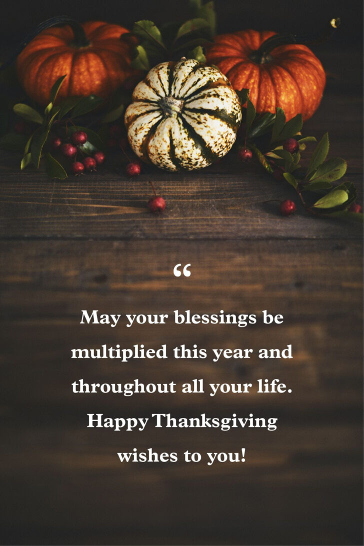 Happy Thanksgiving Email Cards