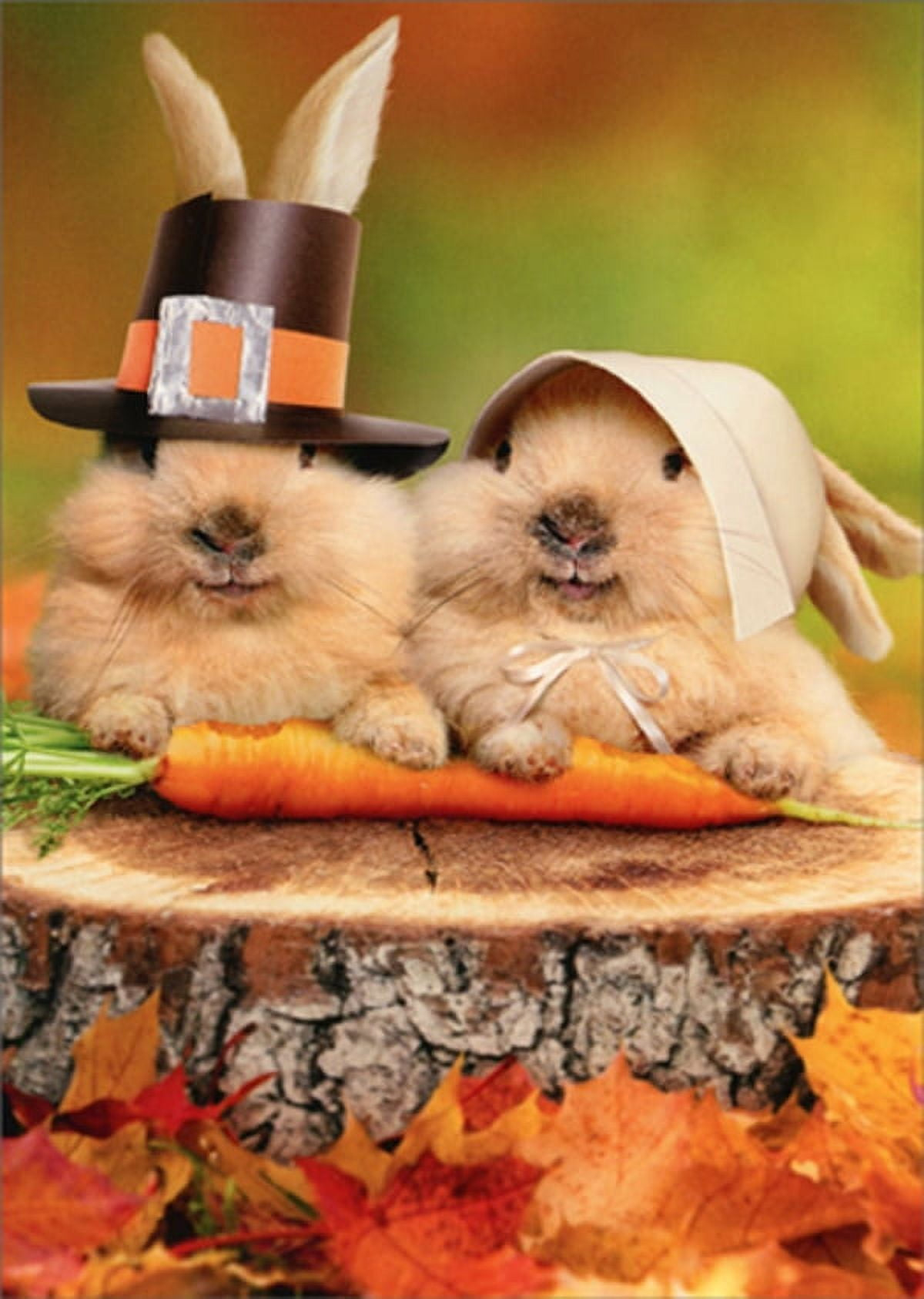 Avanti Press 2 Pilgrim Rabbits On Tree Stump Thanksgiving Card regarding Avanti Thanksgiving Cards