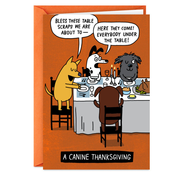 Funny Thanksgiving Day Cards