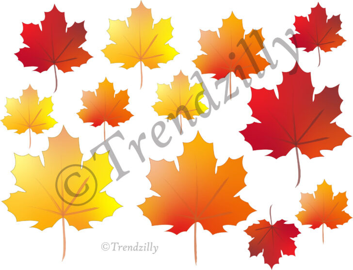 Thanksgiving Leaves Printable