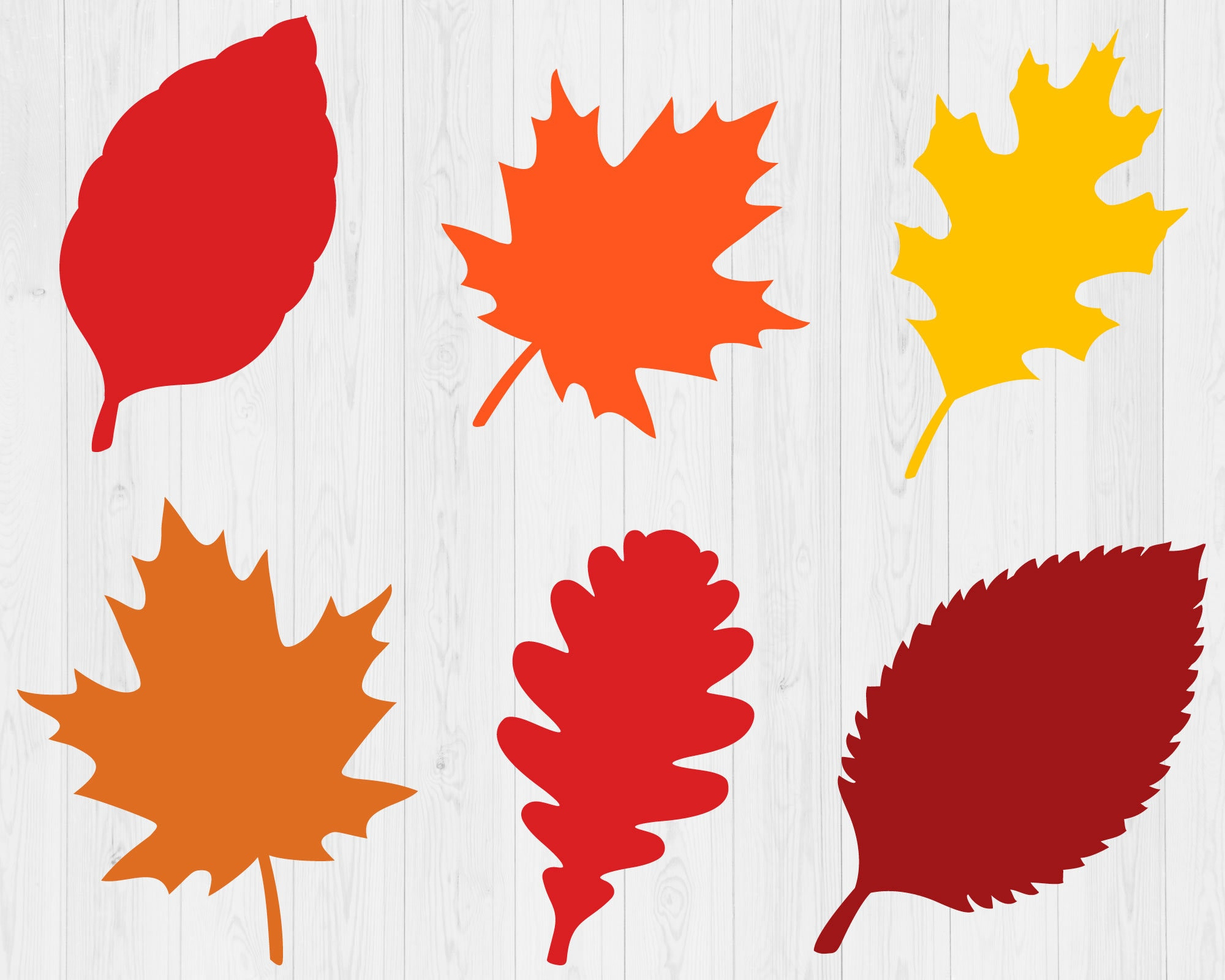 Fall Leaves Svg Bundle, Printable, Fall Svg, Thanksgiving Svg for Thanksgiving Leaf Printable