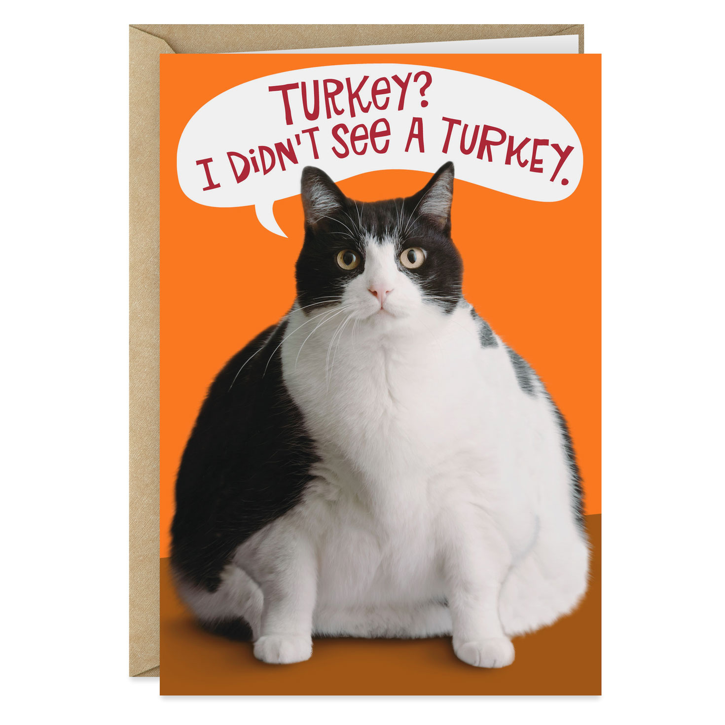 Fat Cat Funny Thanksgiving Card - Greeting Cards | Hallmark with Thanksgiving Cards With Cats