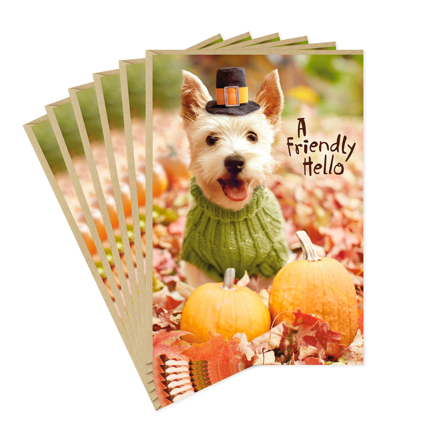 Friendly Hello Dog Thanksgiving Cards, Pack Of 6 - Boxed Cards intended for Dog Thanksgiving Cards