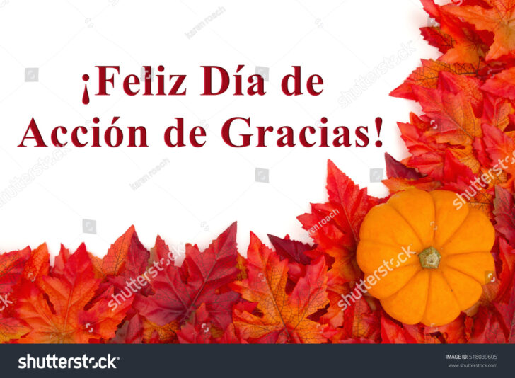 Thanksgiving Cards in Spanish