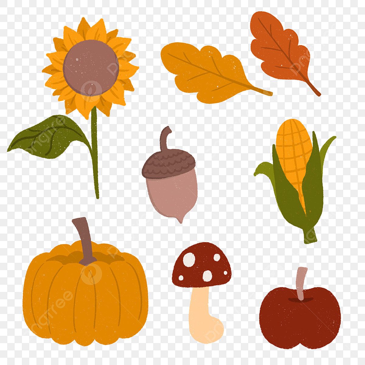 Harvest Thanksgiving Clipart Transparent Png Hd, Thanksgiving in Free Printable Thanksgiving Clipart