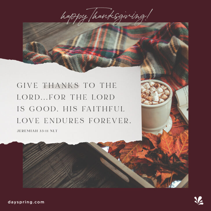 Dayspring Thanksgiving Cards