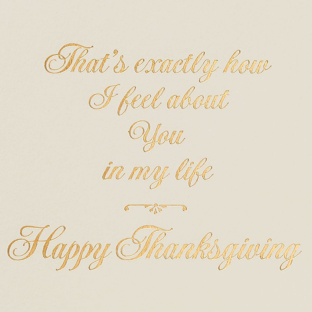 Thankful For You In My Life Thanksgiving Greeting Card - Papyrus in Thankful For You Thanksgiving Cards