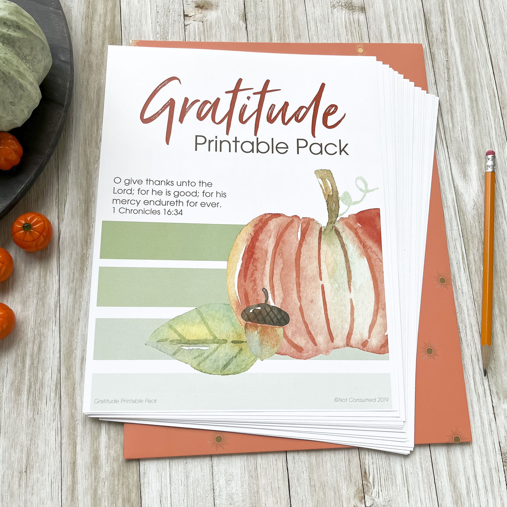 Thanksgiving Printables For Kids (4 Free Printables) for Printable Thanksgiving Devotionals