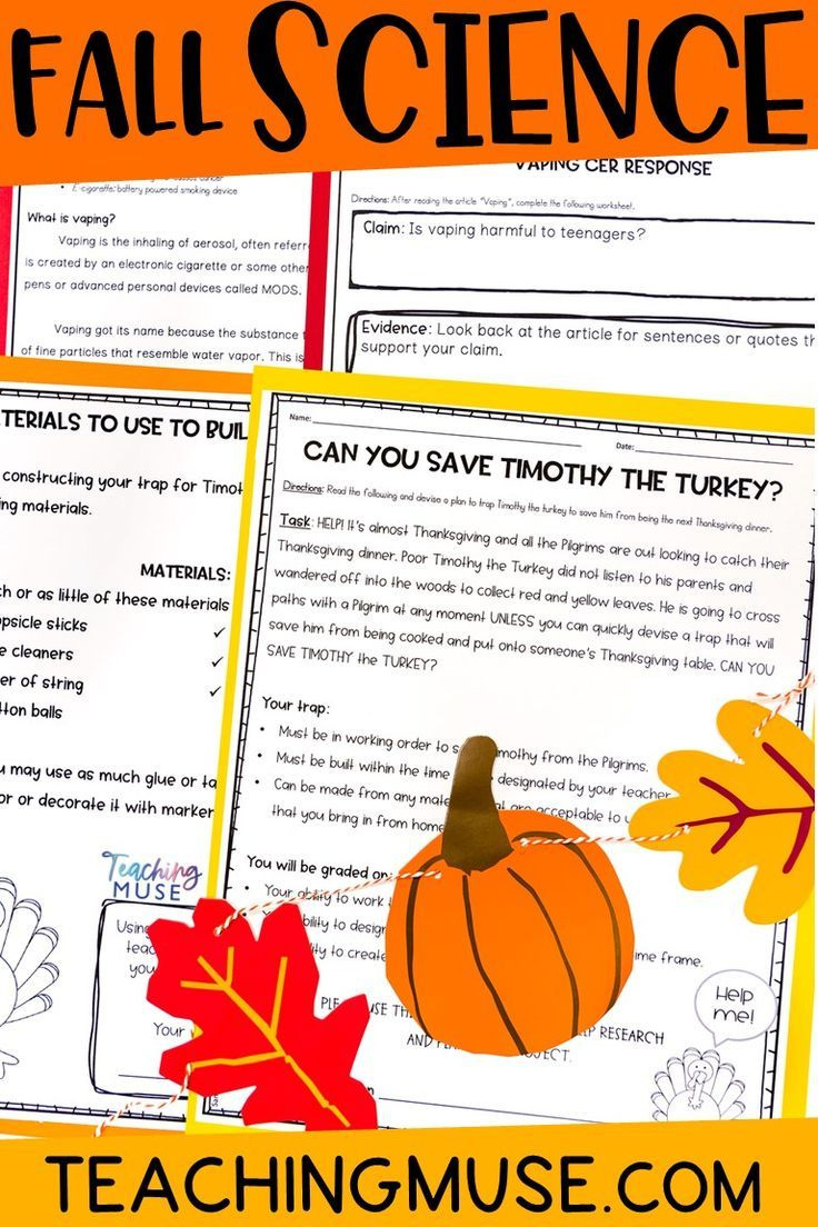 Thanksgiving Science Activities throughout Thanksgiving Science Worksheet