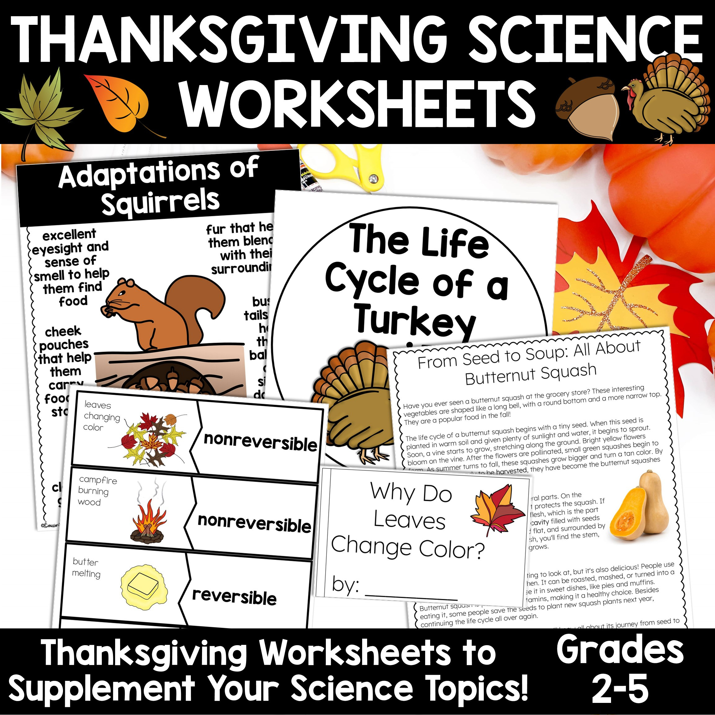 Thanksgiving Science Worksheets No Prep Acitivities - Thrifty In Third Grade with regard to Science Thanksgiving Worksheets