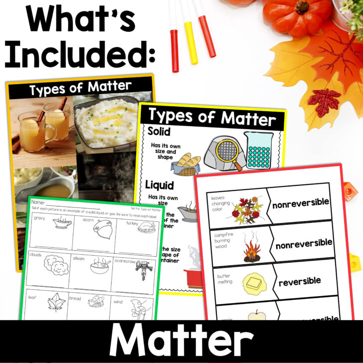 Thanksgiving Science Worksheets