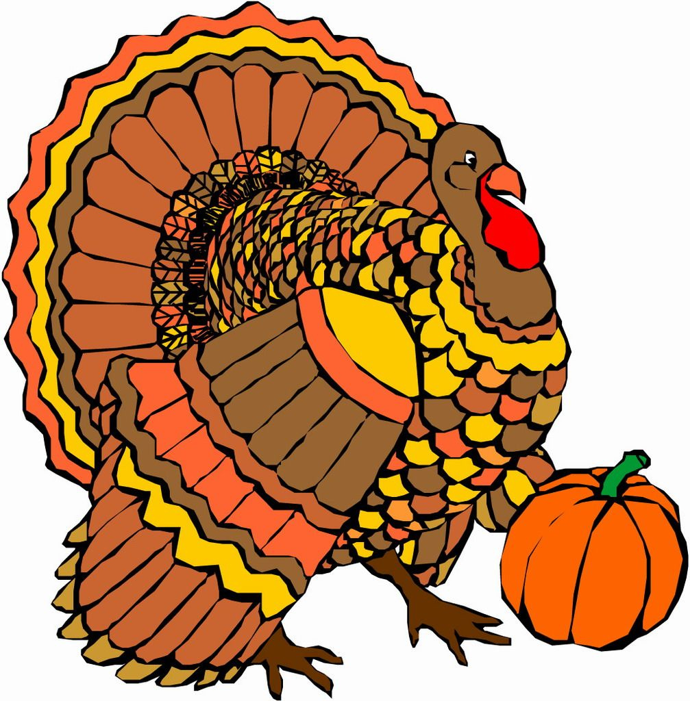 Thanksgiving Turkey Images regarding Printable Thanksgiving Turkey Images