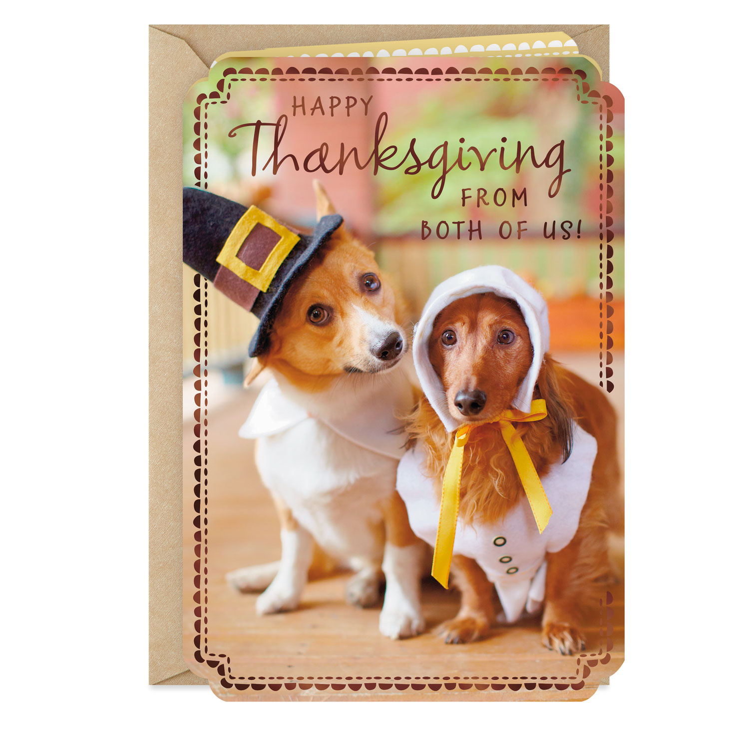 Two Pilgrim Dogs Thanksgiving Card From Both - Greeting Cards in Dog Thanksgiving Cards