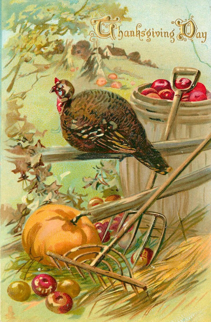 Musical Thanksgiving Cards