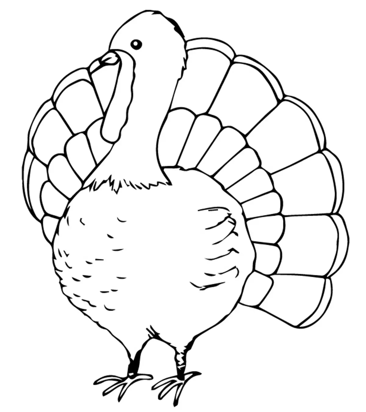 25 Free Printable Turkey Coloring Pages For Thanksgiving Crafts for Free Printable Turkey Body Printable Informational