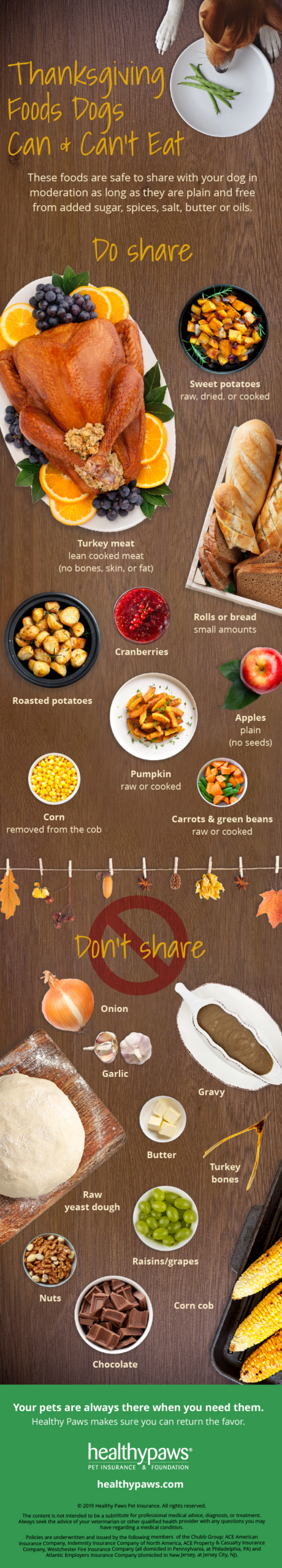 7 Thanksgiving Foods Dogs Can Eat in Dog Thanksgiving Menu Templates