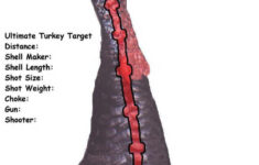 Downloadable Turkey Targets inside Free Printable Turkey Target Printable