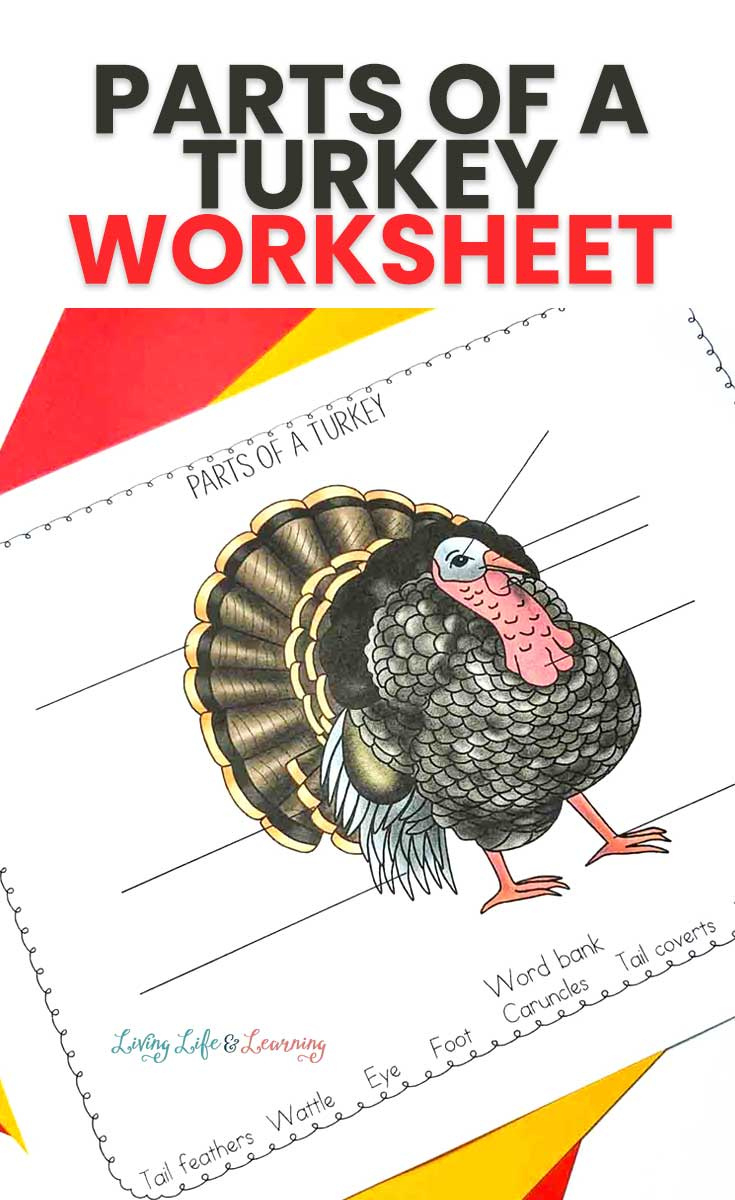 Free Parts Of A Turkey Printables | Free Homeschool Deals © pertaining to Printable Parts Of A Turkey