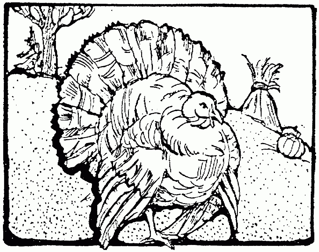 Free Turkey Coloring Pages with Wild Turkey Coloring Pages Printable