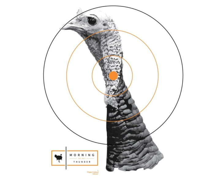Free Printable Printable Turkey Targets Free Printable Printable Turkey Targets