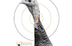 How To Pattern A Turkey Gun – Free Printable Turkey Target regarding Free Printable Turkey Targets For Shooting Practice