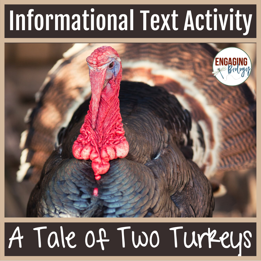 Informational Text Activity A Tale Of Two Turkeys | Madeteachers for Printable Images Of Turkeys	Informational