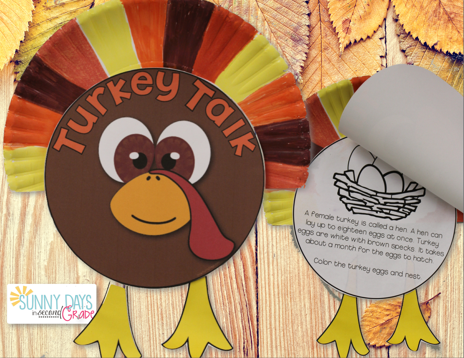 Informational Text Turkey Craftivity - Sunny Days In Second Grade intended for Free Printable Turkeys Informational
