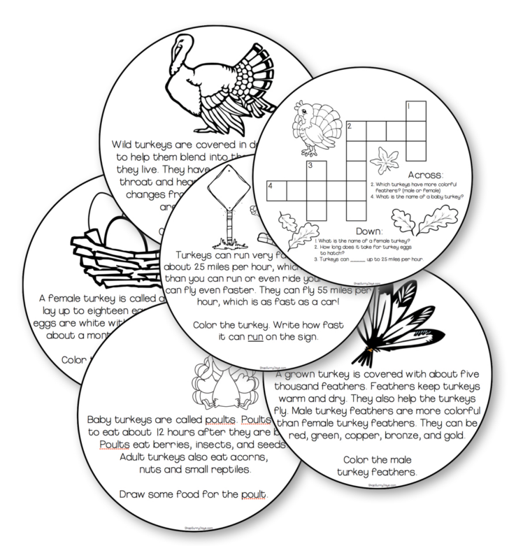 Free Printable Thankful Turkey Printable	Informational