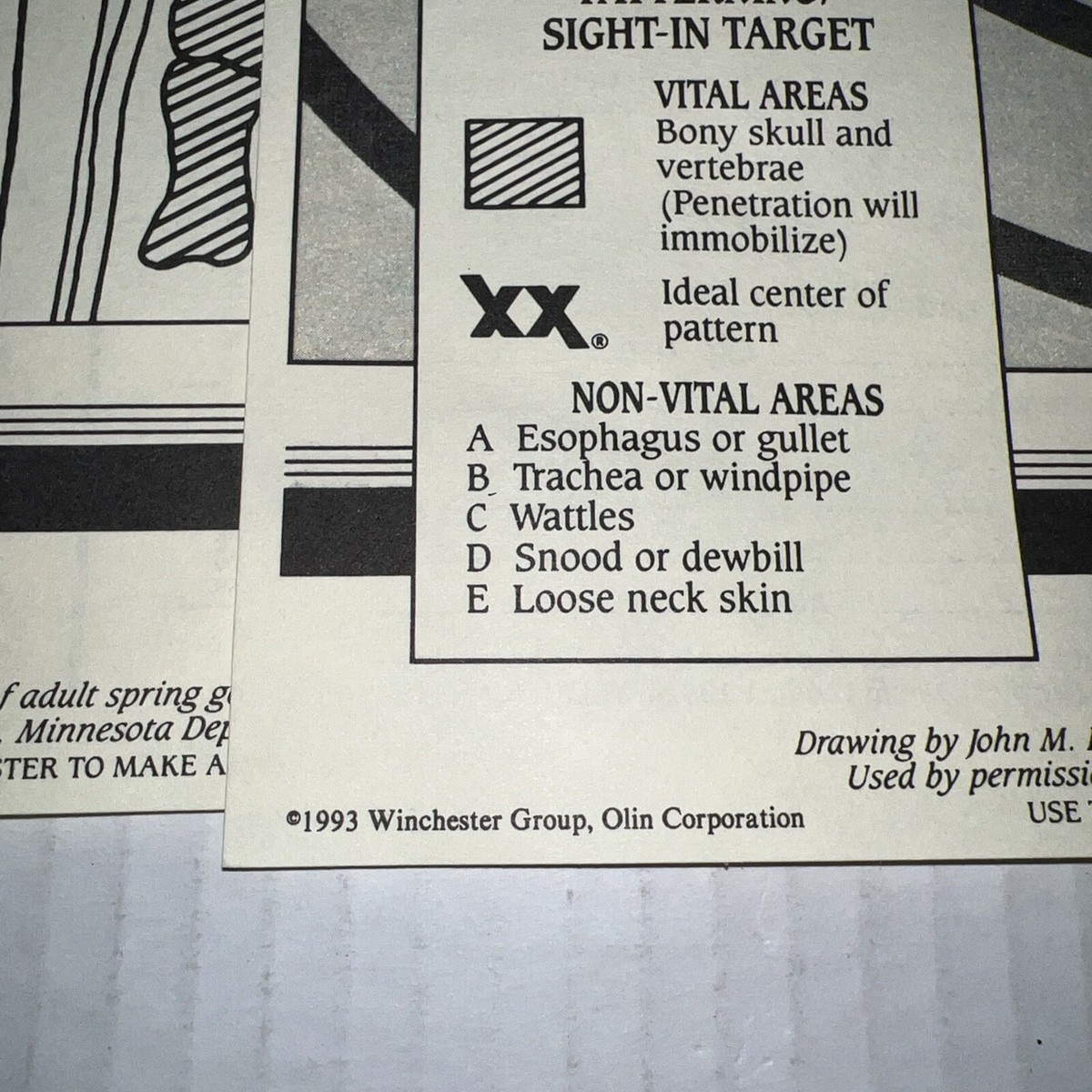 Lot Of 6 Winchester Paper Targets Turkey Patterning Shotgun Nos within Turkey Shoot Targets Printable Informational