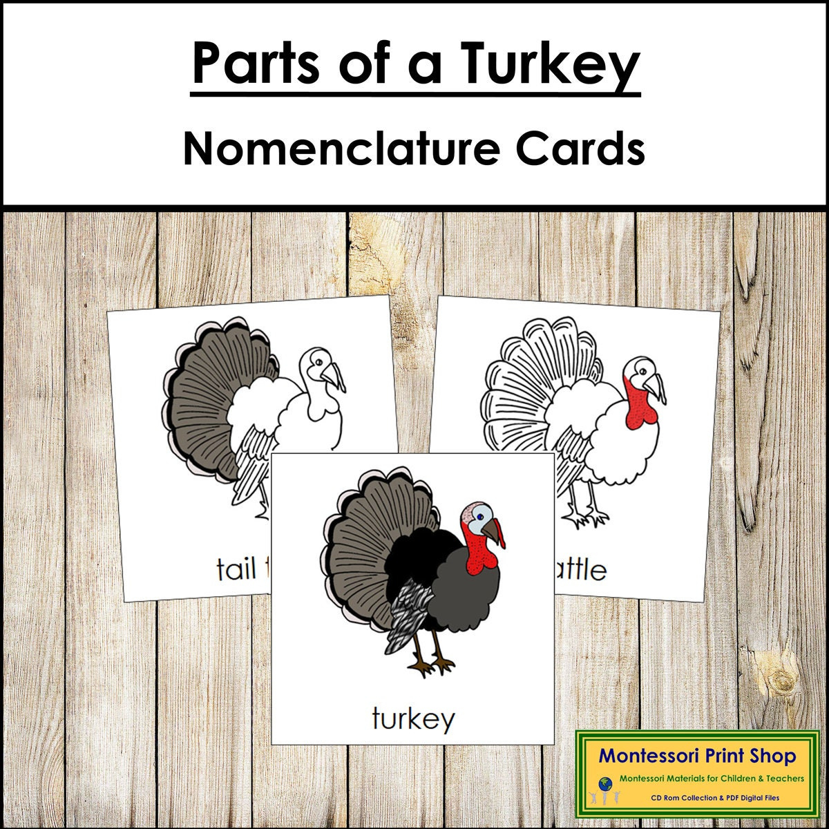 Parts Of A Turkey Nomenclature 3-Part Cards & Blackline Master inside Printable Parts Of A Turkey
