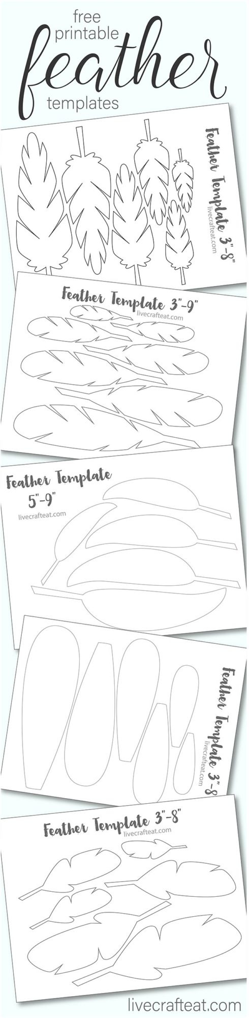 Printable Turkey Feather Patterns & Templates - Free | Live Craft Eat within Free Printable Turkey Feather Template Informational