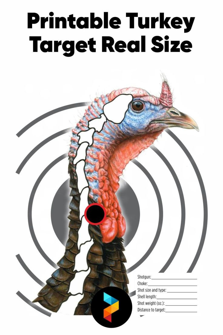 Printable Turkey Targets For Perfect Archery And Shotgun Practice pertaining to Printable Turkey Targets