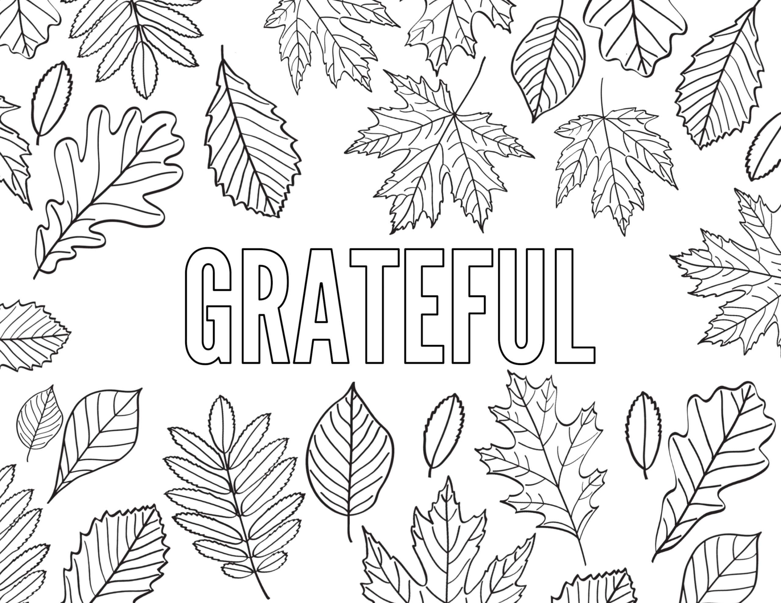 Thanksgiving Coloring Pages {Free Printable} - Paper Trail Design in Free Printable I Am Thankful For Leaves Coloring Pages