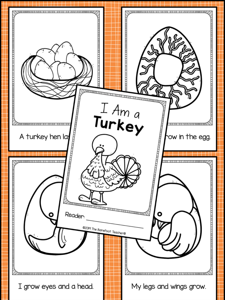 Printable Turkey And Feathers	Informational