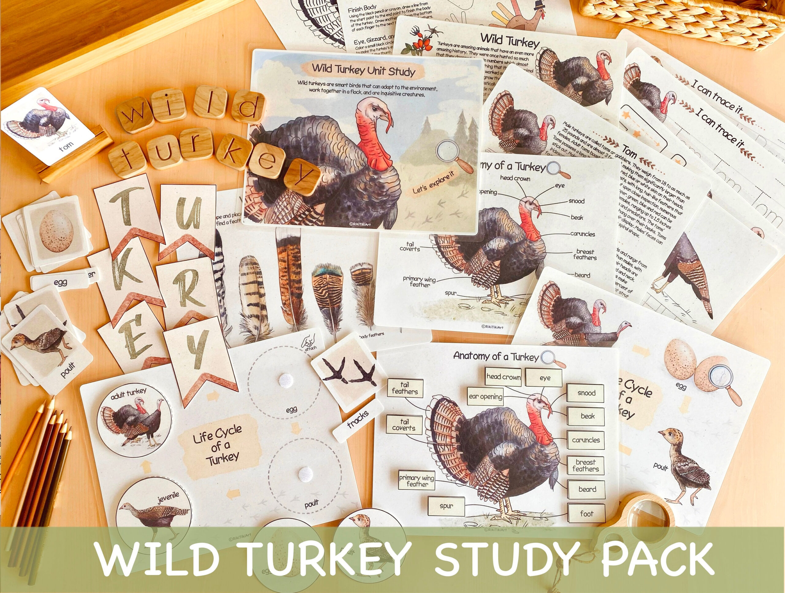Truthahn-Einheit Studie Herbst Homeschool Lernmaterialien within Turkey Head Printable Target Informational