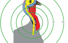 Turkey (15580) | Gunfun Shooting Targets, Inc. inside Printable Turkey Targets