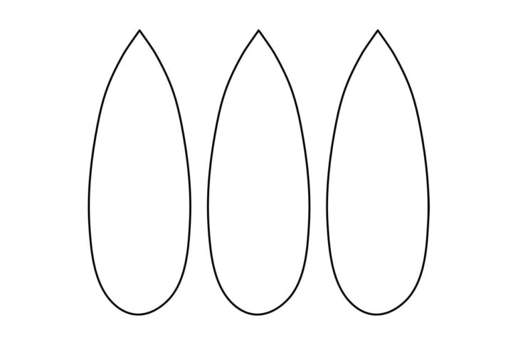 Printable Pictures of Turkey Feathers Printable Pictures of Turkey Feathers