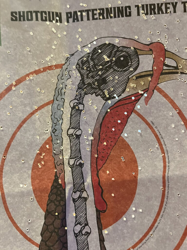 Printable Turkey Target	Informational