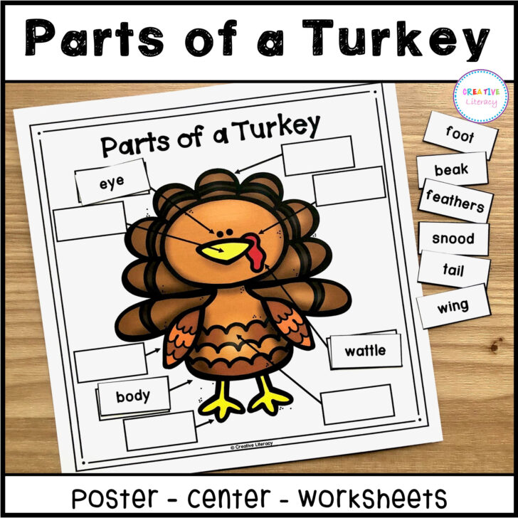 Printable Turkey Body Informational Printable Turkey Body Informational