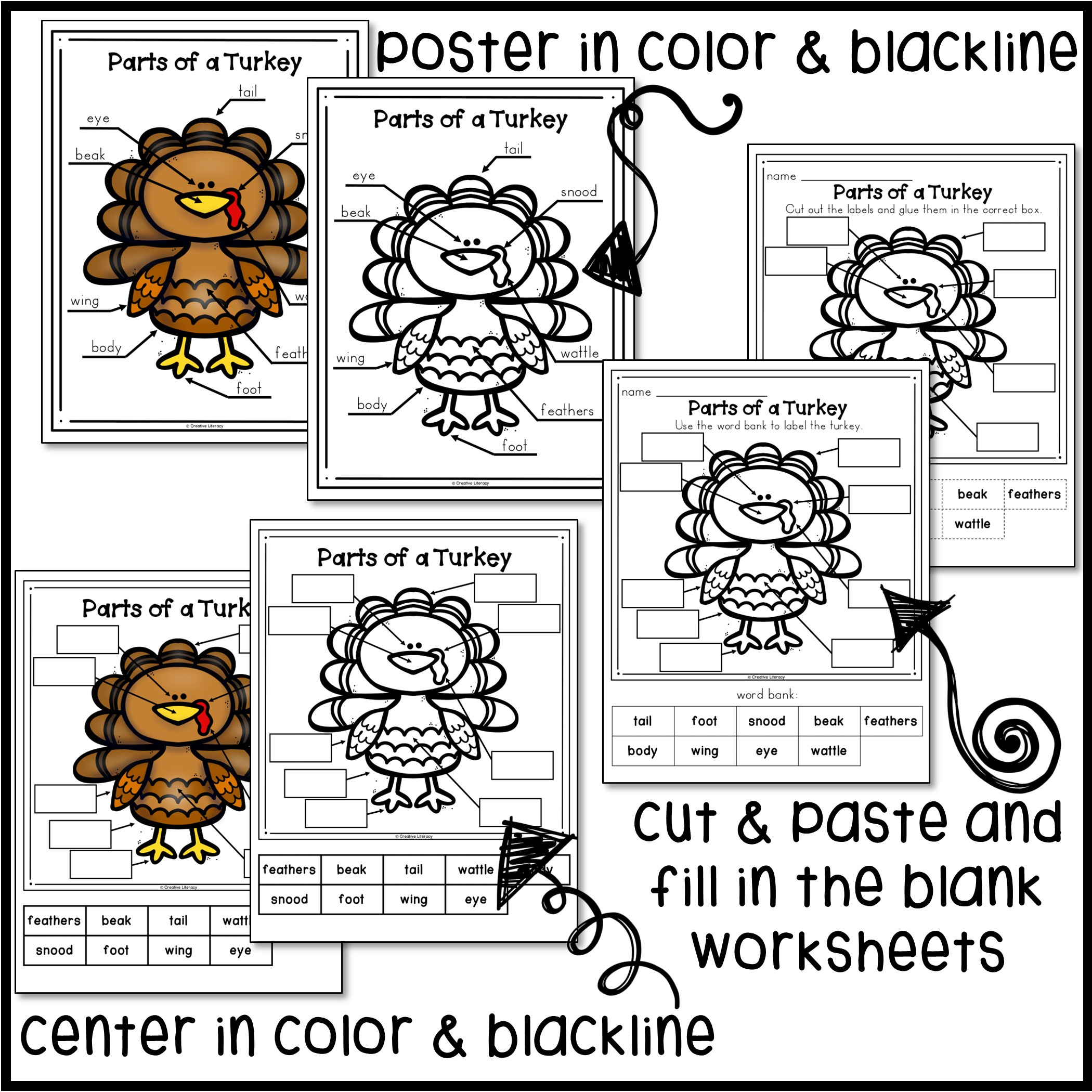Turkey Labeling Activity - Classful pertaining to Turkey Eyes Printable Informational