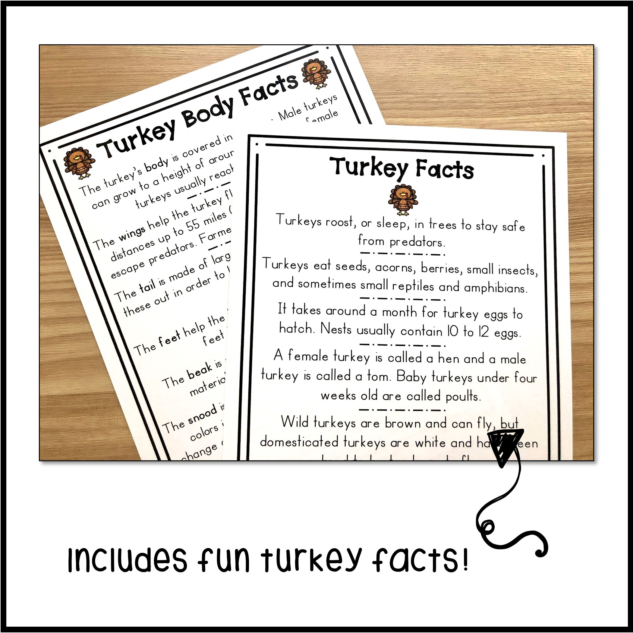 Turkey Labeling Activity - Classful throughout Tom Turkey Printable Informational