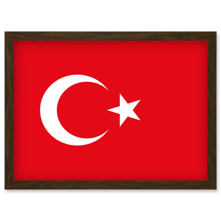 Printable Turkey Flag Printable Turkey Flag