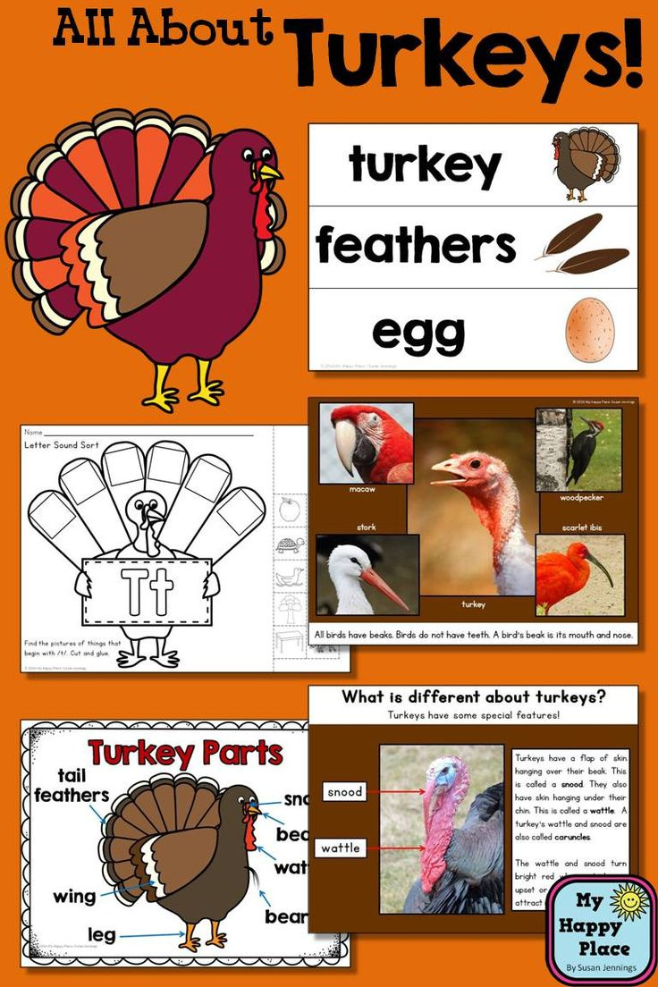 Turkey Unit – All About Turkeys Powerpoint Slideshow – Turkey in Free Printable Turkey Craft	Informational
