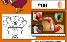Turkey Unit – All About Turkeys Powerpoint Slideshow – Turkey with Printable Turkey Crafts	Informational