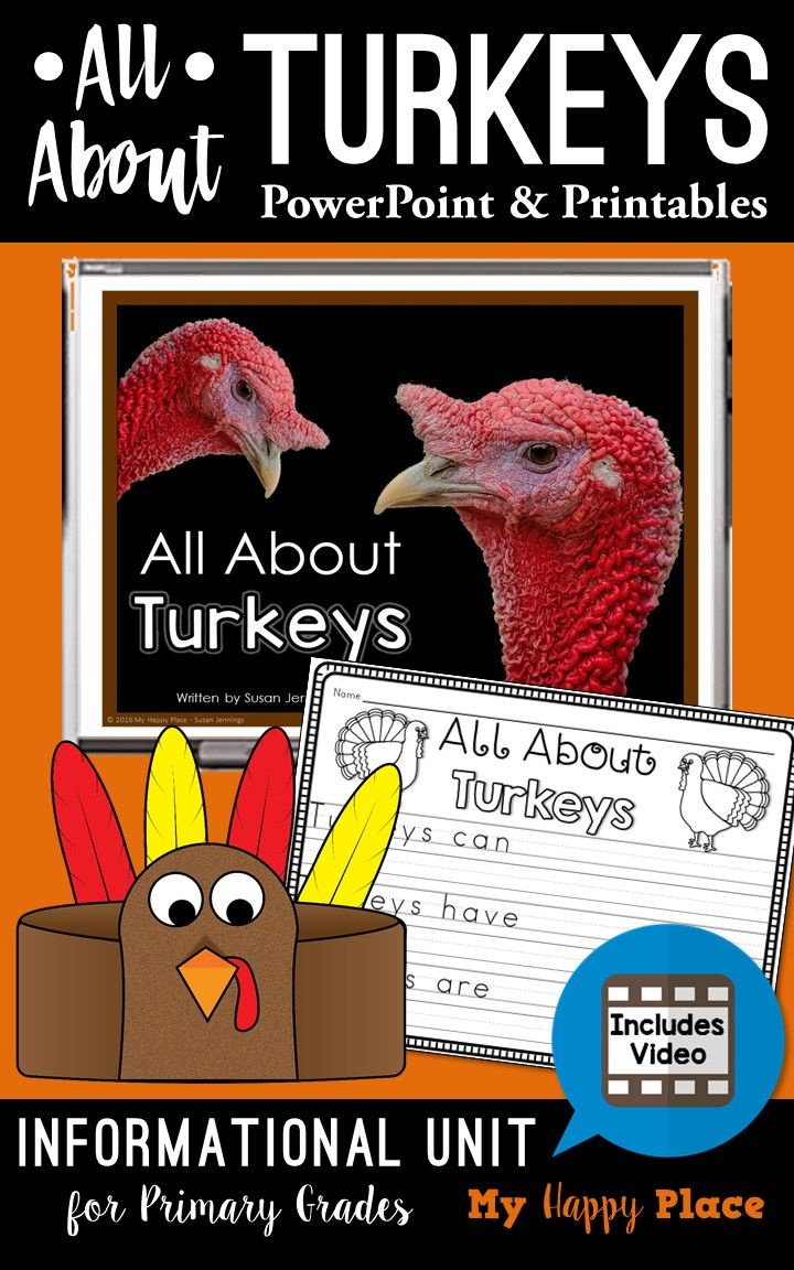 Turkey Unit – All About Turkeys Powerpoint Slideshow – Turkey with Printable Turkey Picture Informational