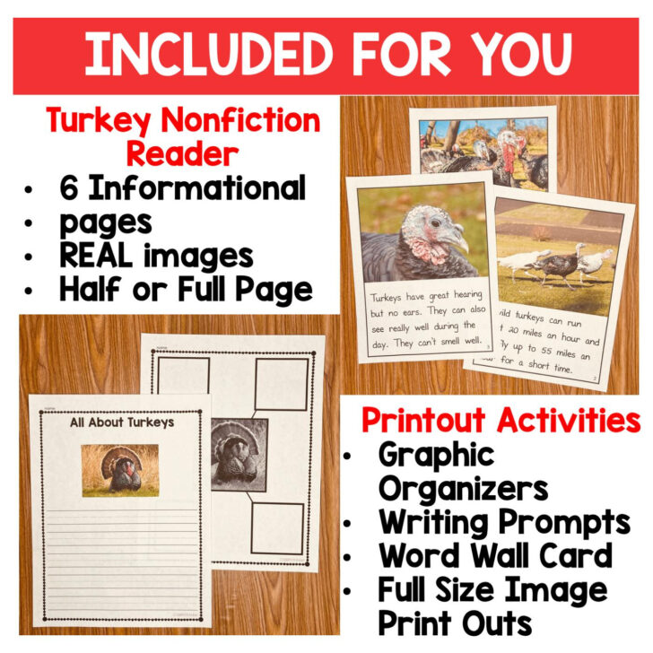 Turkeys Printable	Informational