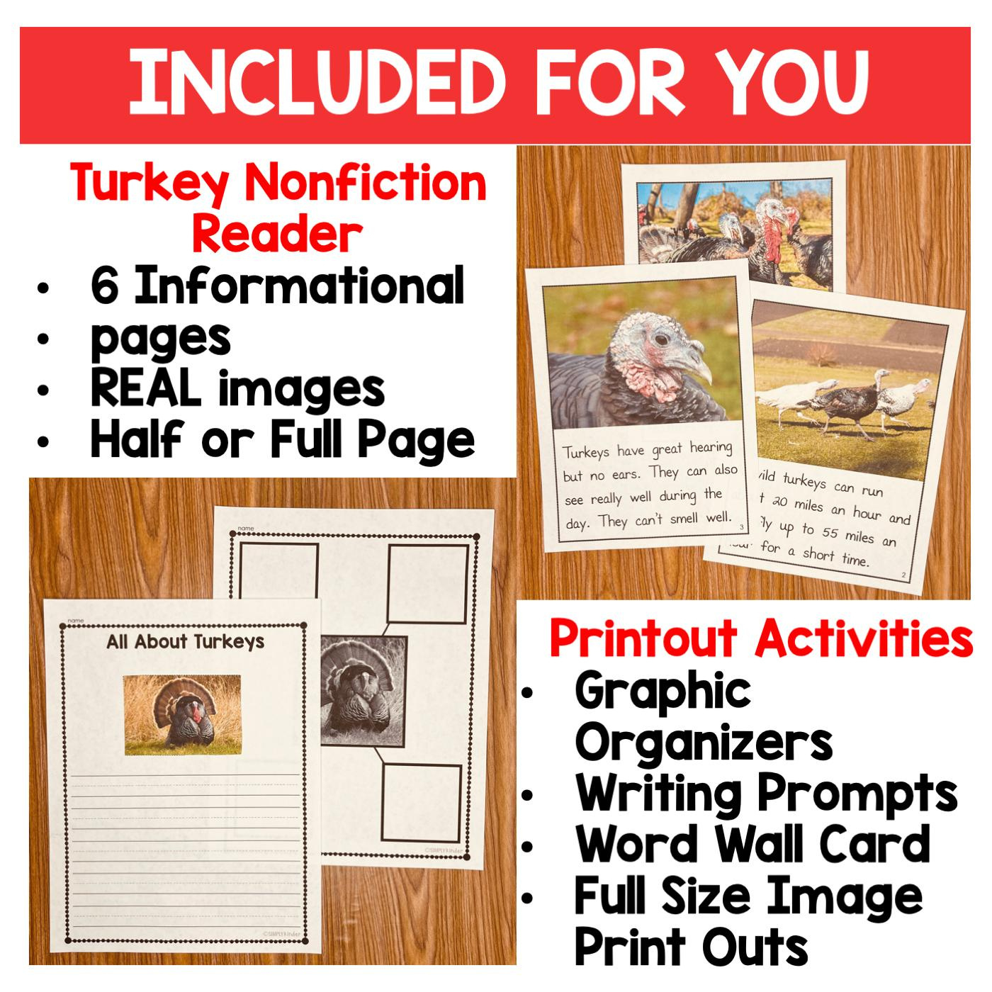 Turkeys Nonfiction Information Book &amp;amp; Writing Activities With Real Pictures pertaining to Turkeys Printable	Informational