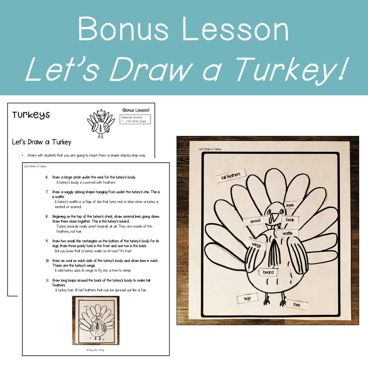 Turkeys ~ Science, Reading, Writing, Craft Unit (Body Parts And intended for Turkey Body Outline Printable Informational