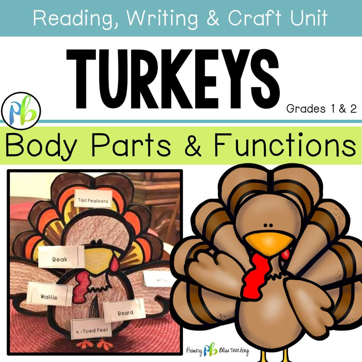 Turkeys ~ Science, Reading, Writing, Craft Unit (Body Parts And with Printable Turkey Body	Informational